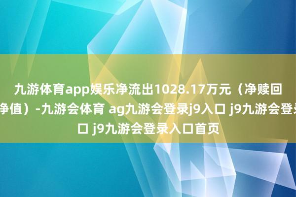 九游体育app娱乐净流出1028.17万元（净赎回份额*单元净值）-九游会体育 ag九游会登录j9入口 j9九游会登录入口首页