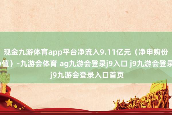 现金九游体育app平台净流入9.11亿元（净申购份额*单元净值）-九游会体育 ag九游会登录j9入口 j9九游会登录入口首页